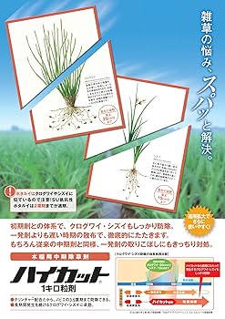 アダチキ中粒15キロ×2個 日立建機 1.6m3マルチブーム解体仕様機 ZX500LCK-6 中古建設機械